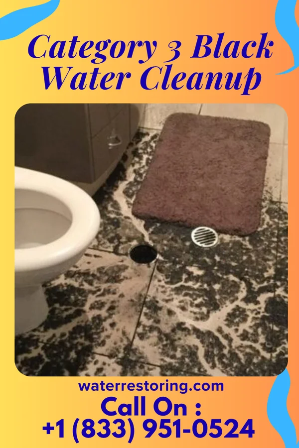 Category 3 Black Water Cleanup in Sycamore Hills, MO