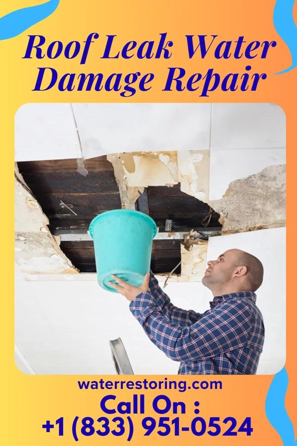 Roof Leak Water Damage Repair in Sycamore Hills, MO